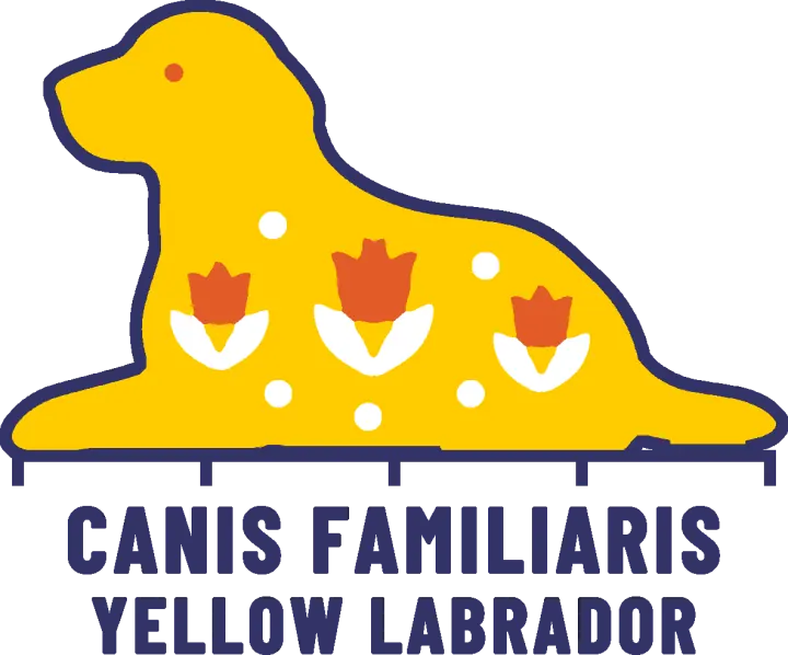 Embroidery artwork: a yellow Labrador lying down in side profile, facing left, head raised, a gold shape with an orange eye and a navy outline, its coat patterned with three orange tulips on white leaves and five white dots. It rests on a navy measuring rule over the words CANIS FAMILIARIS and YELLOW LABRADOR.